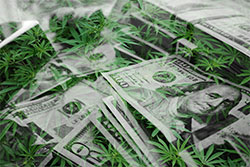 Cannabis 280e Tax services